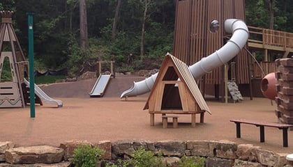Inclusive Nature-Themed Playground